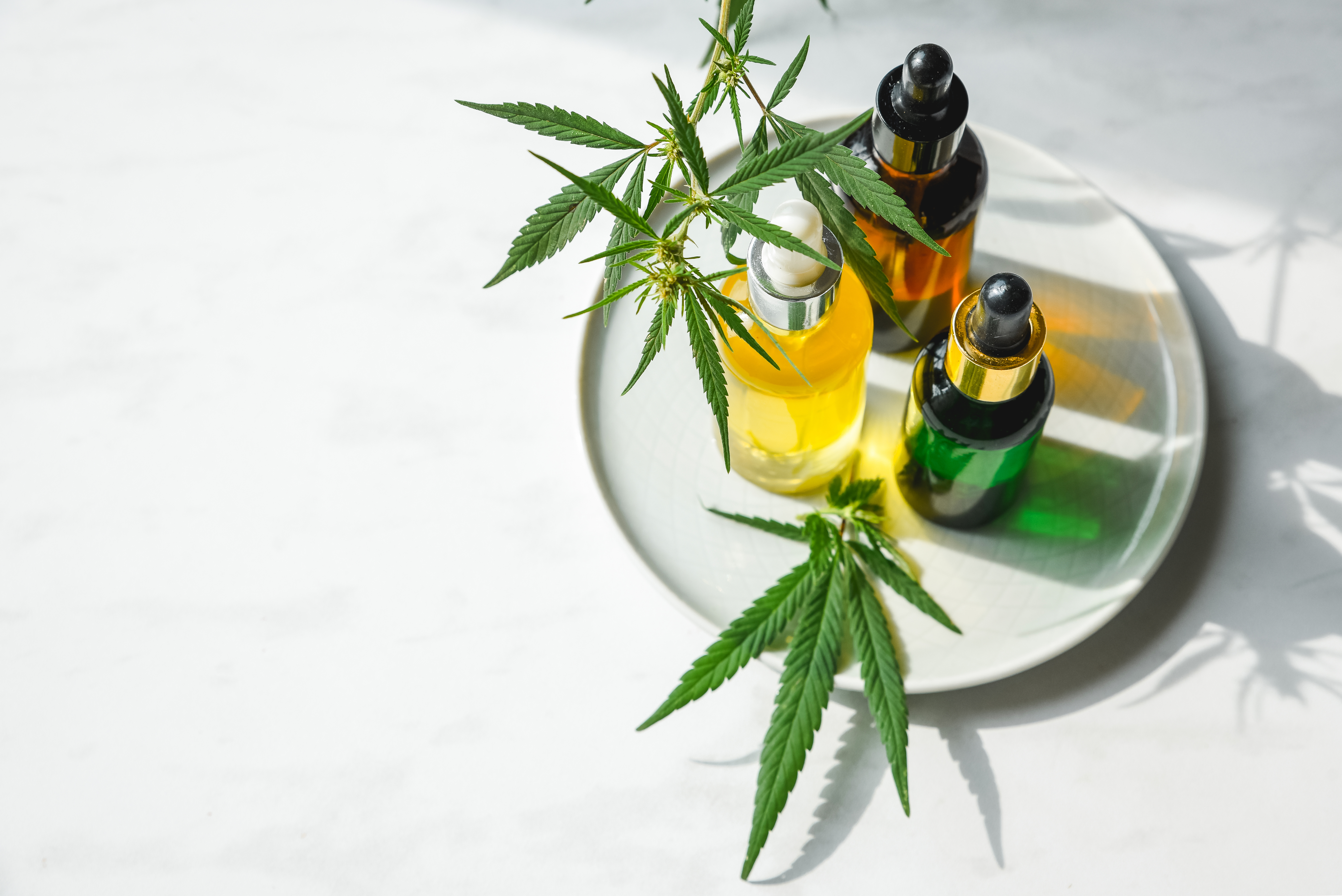 CBD Topicals for Pain Management and Skin Care