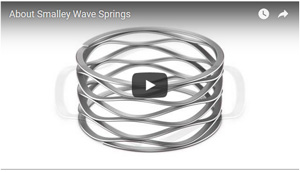 About Wave Springs